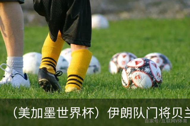 （美加墨世界杯）伊朗队门将贝兰万德的“满分”
